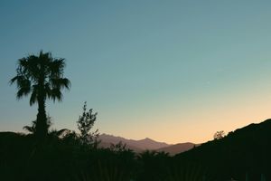 emanuel-haas-8NTsjnEMC7I-unsplash